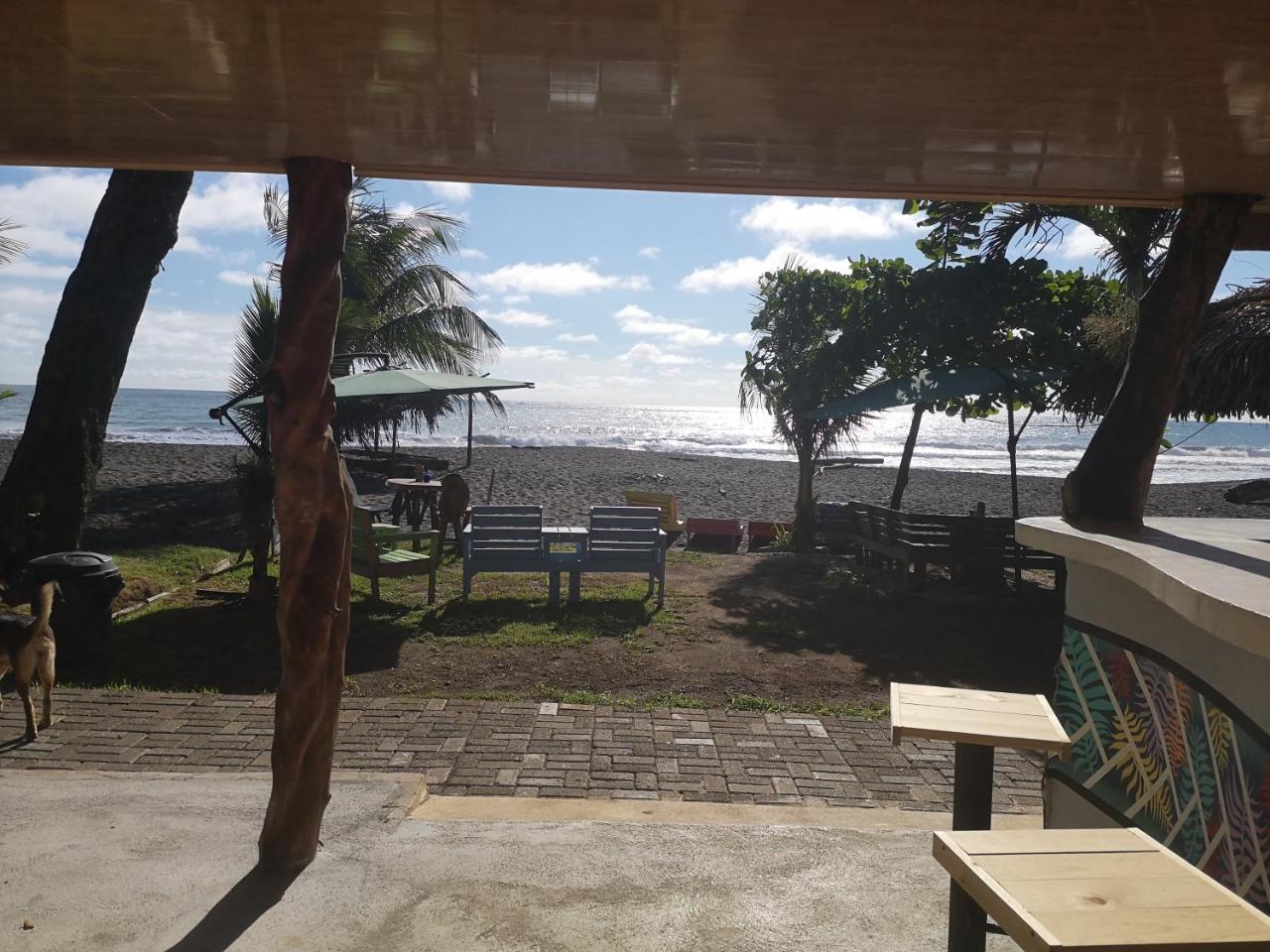 Hotel Las Olas 蓬塔雷纳斯 外观 照片